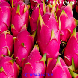 FRESH DRAGONFRUIT